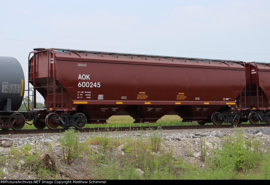 New AOK Covered Hopper